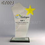 gt-004