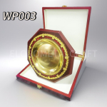 wp-003